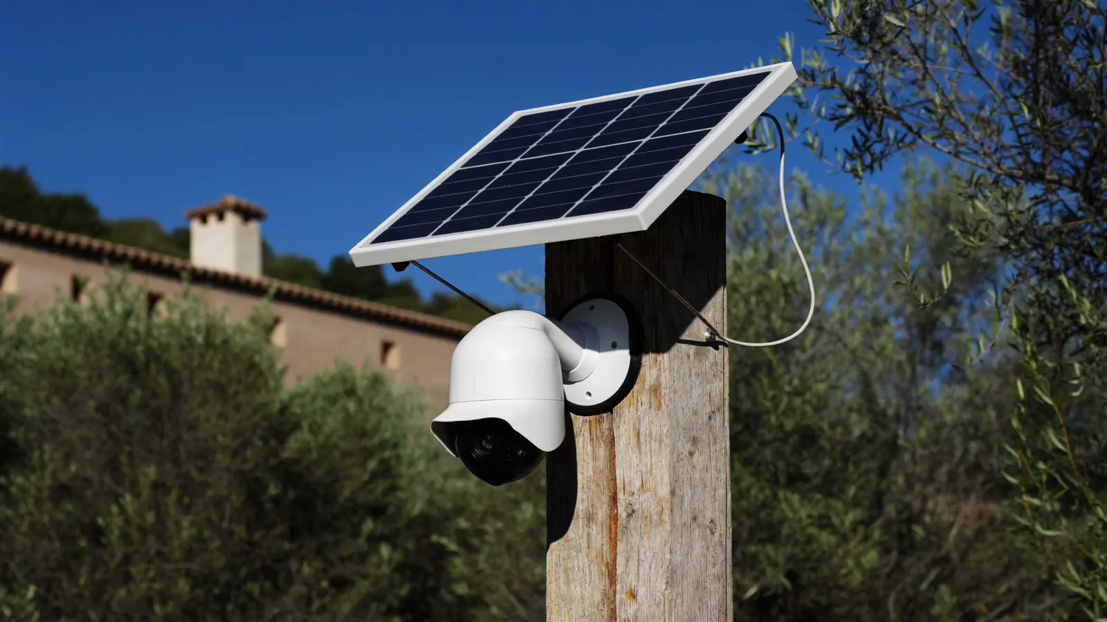 Cámara de seguridad 4G con placa solar en la entrada de una finca de olivar en Andalucía